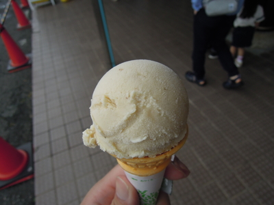 新金谷駅で売られていた、アイスクリームうなぎ味。本当に味がした。山椒をかけて食べるのだが、それもちゃんと合っていた。