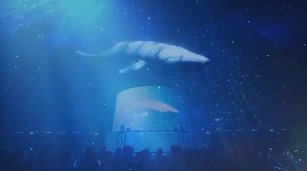 クジラが登場する